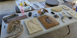 Fósseis e os animais prá-históricos | Sesc Bertioga